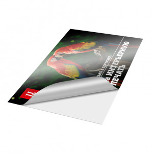 Печать на прозрачной пленке